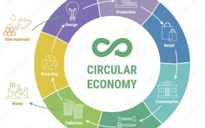 What Is the Circular Economy?